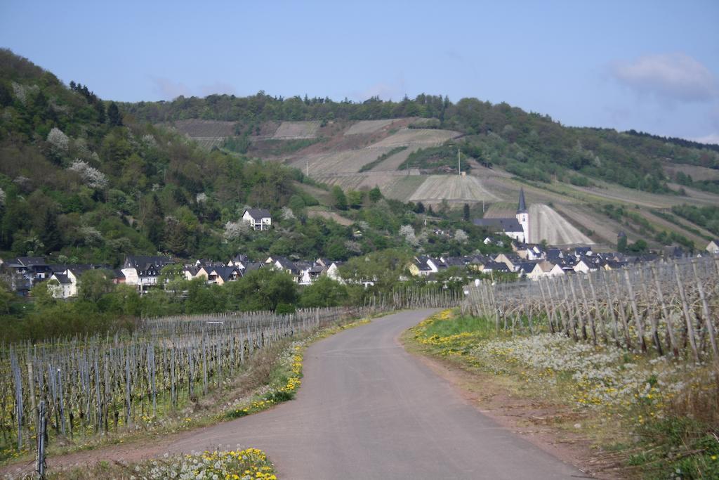 Weingut Goeres Hotell Briedel Exteriör bild