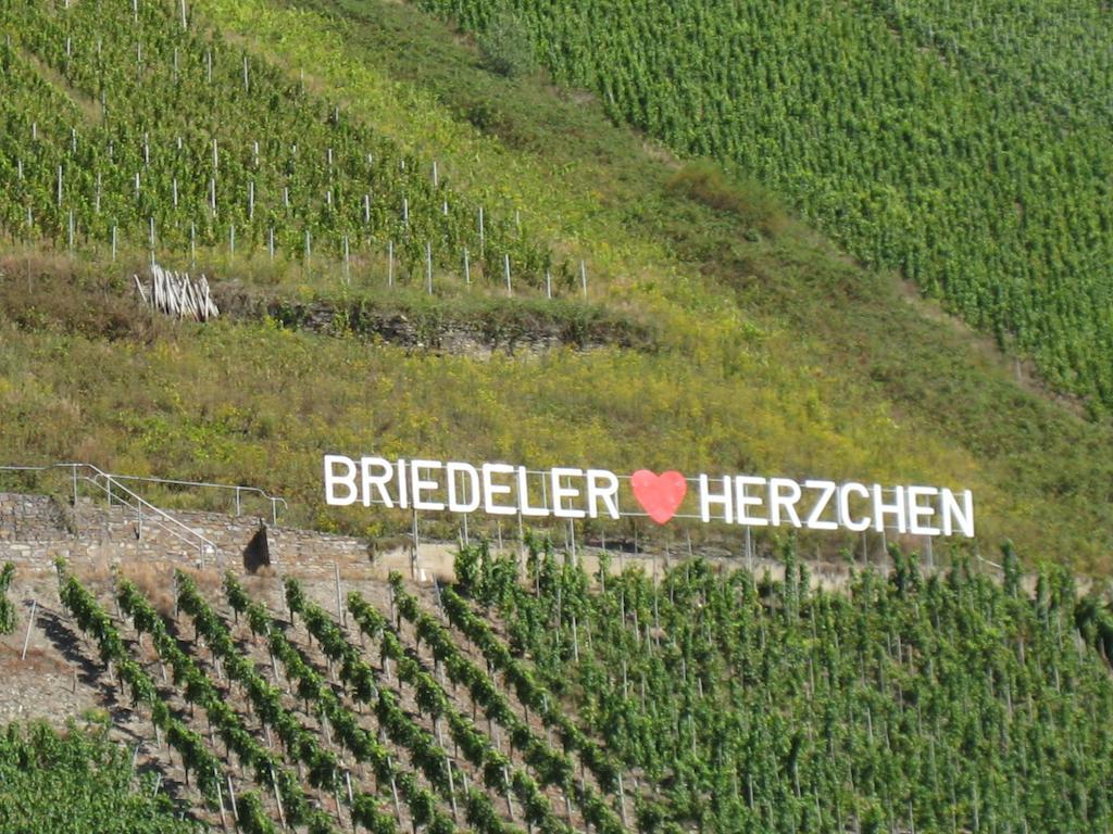 Weingut Goeres Hotell Briedel Rum bild